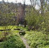 Barnsbury Wood, London<br />photo credit: flickr.com/JulianWalker